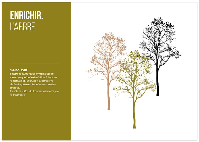 Identité de marque Pépinières Charentaise : charte déclinaisons logos